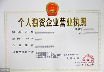什么是个人独资企业,未来会有越来越多的个人公司?