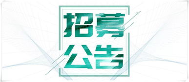 公告 纺织集团三企业重整投资人联合招募公告