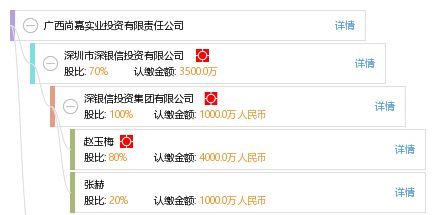 广西尚嘉实业投资有限责任公司