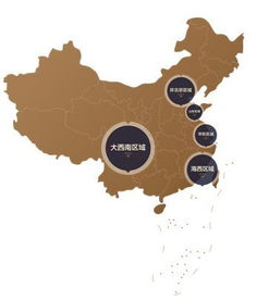 crs峰会 梁川 三盛集团常务副总裁 三盛资本总裁 打卡中国家庭美好生活
