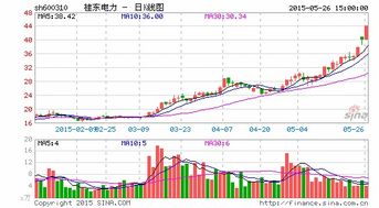 桂东电力 实业投资一地鸡毛 股权激励难掩隐忧
