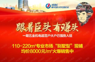 中华建设机械商会一行到郴州国际考察参观
