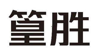 广东篁胜实业投资集团 实业投资的战略布局与价值创造