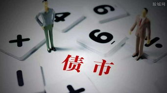 金禾发债投资指南 购买方式与收益分析