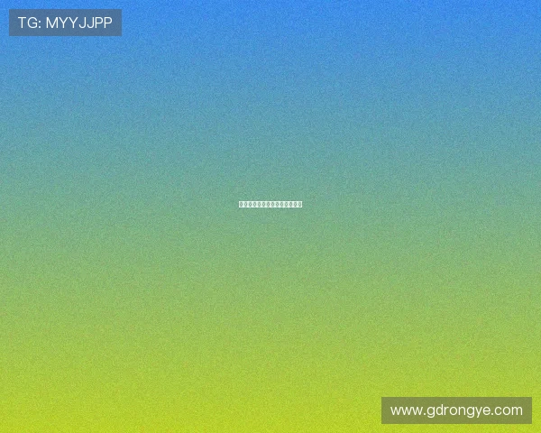 旗鱼行动：乘风破浪，逐梦远航