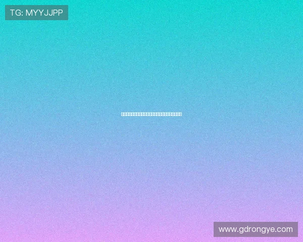 暖意融融：当面包、汤、猫咪与好天气共谱的诗意生活