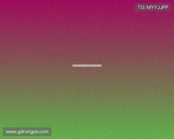 猫猫日记:毛茸茸的治愈系时光,从这里开始