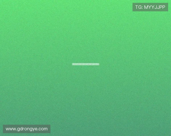 缉私群英：守护国门，铸就忠诚的钢铁长城